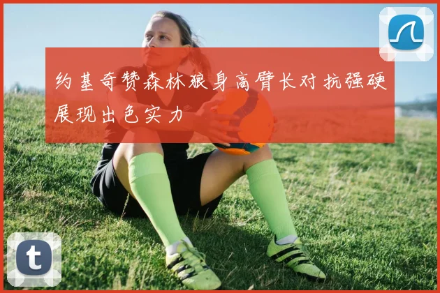 约基奇赞森林狼身高臂长对抗强硬展现出色实力