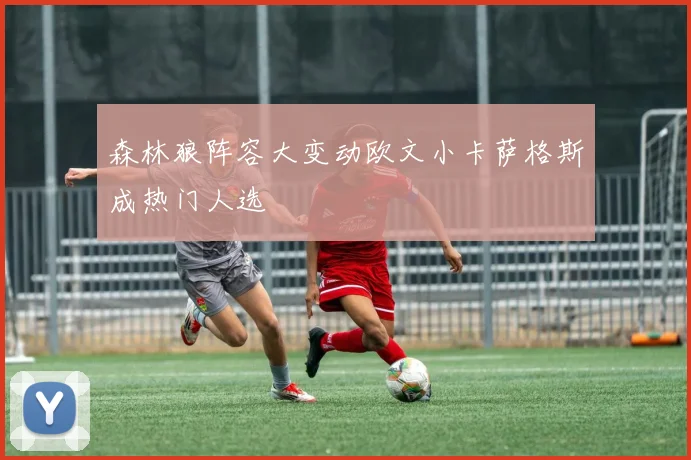 森林狼阵容大变动欧文小卡萨格斯成热门人选